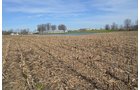 Property photo 97 - REAL ESTATE & PERSONAL PROPERTY AUCTION, 140 Acres offered in 8 Tracts or Combinations in Steuben County